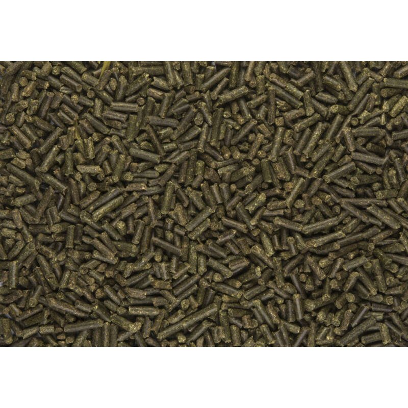 Lannoo Luzerne Korrel 25kg - Afbeelding 2