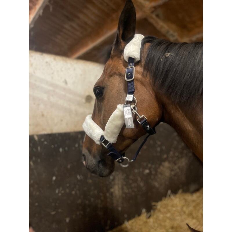 Halster met fleece