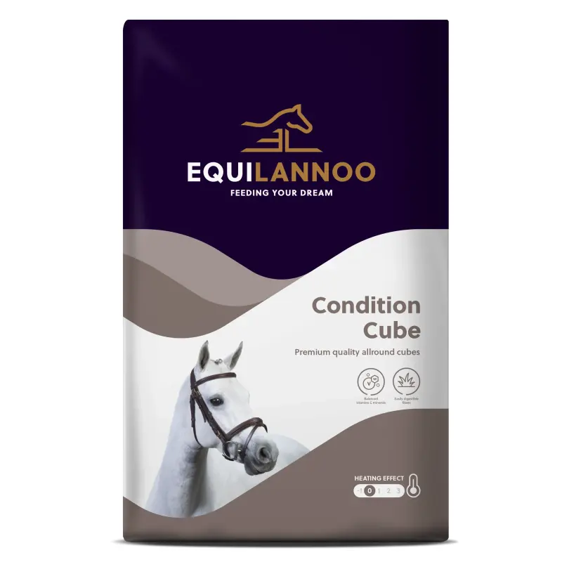 EQL Condition Cube 20kg