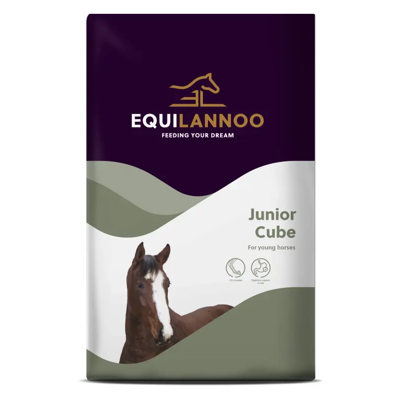 EQL Junior Cube 20kg