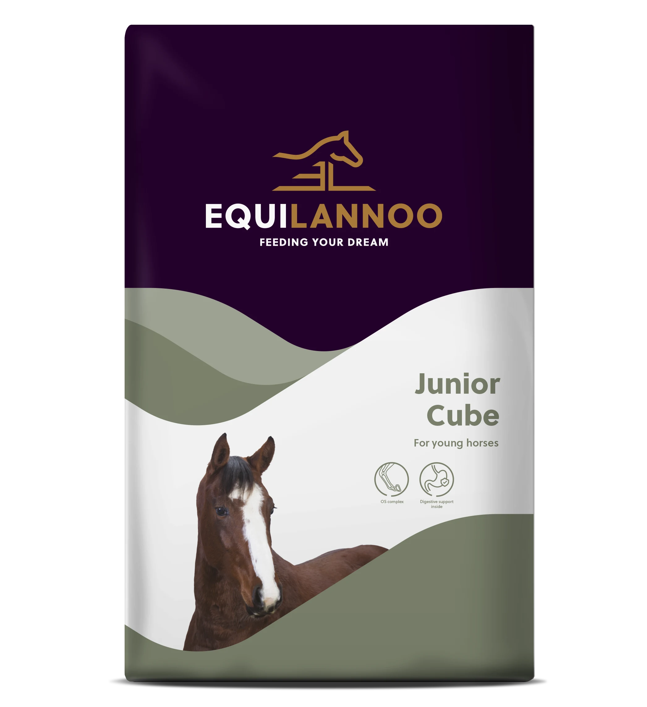 EQL Junior Cube 20kg